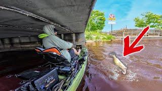 This Bridge Was LOADED with Bass