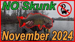 No Skunk November on the Milwaukee River!!! [Tons of Fish]