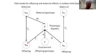 GCTA (GREML) & M-GCTA - Part 4: The M-GCTA model