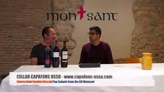 Cellers Capafons Osso - Fancesc Xavier Capafons Osso - DO Montsant