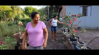 RAIMUNDA DO CHAGUINHA PESCADOR - FELIZ ANIVERSARIO