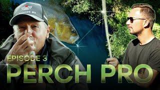 PERCH PRO 10 - Episode 3