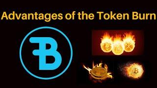 Advantages of the Bidao Token Burn