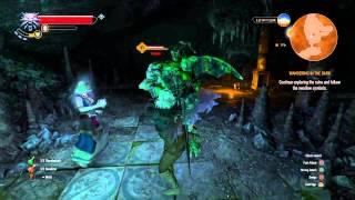 The Witcher 3: Wild Hunt Gargoyle fight and loot