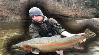 CENTERPINNING STEELHEAD - STEELHEADALLEY