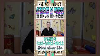신점으로 본 백종원의 미래는? 백종원 인생의 갈림길! 나락? or 부활? [강남유명한점집] [정화신당] [영점 신점] #백종원 #미래 #더본코리아