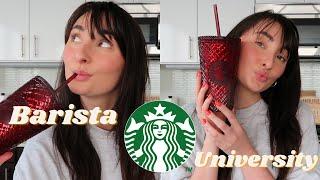 Barista 101: Everything you need to know about being a Starbucks barista in 2024!