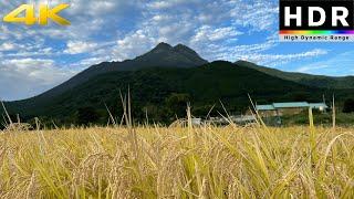 4K HDR Japanese countryside rice fields in Yufuin, Kyushu