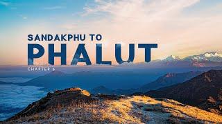 Discover the Spectacular Phalut | Sandakphu Phalut Trek | Sandakphu Phalut Tour