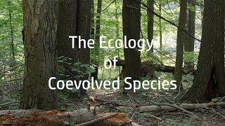 Tom Wessels: The Ecology of Coevolved Species