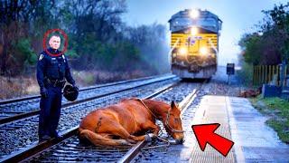 POLICE OFFICER TIES A HORSE TO THE TRACKS, BUT WHAT THE OWNER DOES WILL SHOCK YOU!