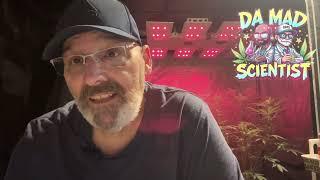 10 Tips for Home growers | Feat. Da.Mad.Scientist