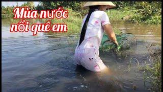 151.Flood season in my hometown. Mùa nước nổi quê em.@kimbavlogs