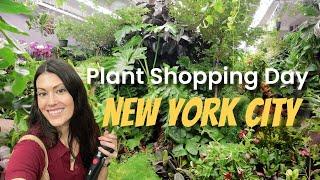 Plant Shopping in New York City | Flower District | Affordable Houseplants & Hidden Gems