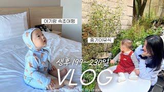 vlog | 가을 타는 아기••(중기 이유식, 200일 촬영, 아기랑 속초여행, 지루한 평일 보내는 법)