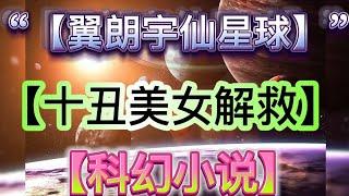 “【翼朗宇仙星球】”【十丑解救】【科幻小说】#科幻朗#电影解说#电影简介(2024)