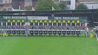 2024 TENNO SHO (Autumn) (G1) | JRA Official