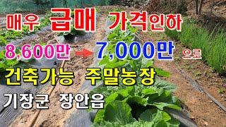 급매 장안읍 명례리 주말농장 건축부지. 7,300만원. 051-983-6988