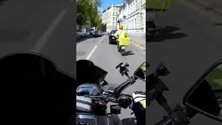 Реальный красаучеГГ!