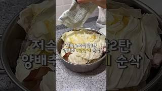 양배추 늘 버리셨다면 이 영상 꼭 보세요:) #저속노화레시피 #양배추요리 #양배추레시피 #양배추고기찜 #야채찜