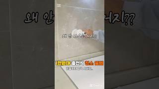 다이소에 없는 전동 청소꿀템 #홈케어대디 #청소 #청소브러쉬 #전동브러쉬 #청소꿀템 #청소꿀팁 #쿠팡꿀템