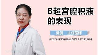 B超宫腔积液的表现 有来医生