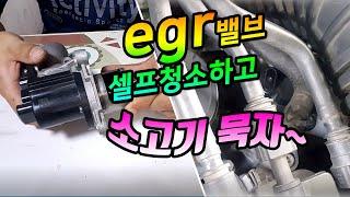 R엔진 EGR 밸브 탈거하는법, 청소하는법, EGR 밸브청소하는 이유