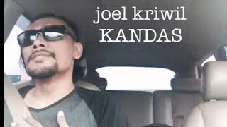 Joel kriwil - kandas