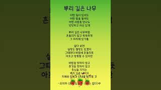 [시노래] 흔들려도 무너지지 않는 사람의 힘 – 뿌리 깊은 나무 #좋은글 #명언 #감동글