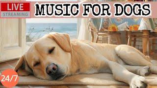 [LIVE] Dog MusicDog Calming MusicDog Separation Anxiety ReliefDog Sleep Music for Dogs2-2