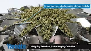 Cannabis, Multihead Weigher/Mehrkopfwaage, Yamato Scale