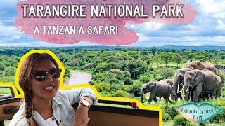 Tarangire national park: a day in a Tanzania safari