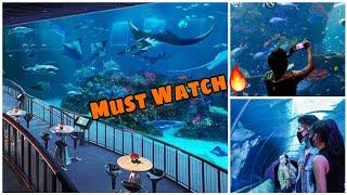 Biggest Acquarium on the Planet |Must Visit Once #WOBLOGS