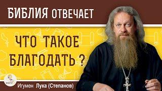 Что такое  БЛАГОДАТЬ?  Игумен Лука (Степанов)