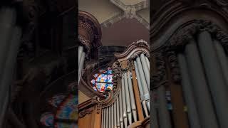 Beautiful Loncke Orgel Sint Jacobskerk Gent Shorts #vlog