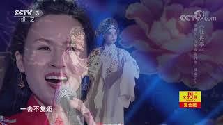 [星光大道]张馨文挑战阿吉太组合 演唱彝族歌曲《七月火把节》 | CCTV