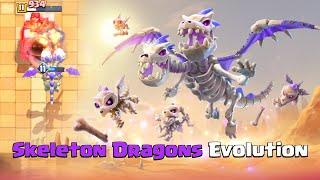 Skeleton Dragons Evolution | Clash Royale