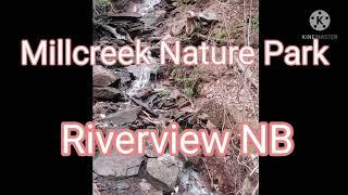 Riverview NB. a walk at Millcreek Nature park