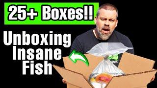 Unboxing Live Tropical Fish From Asia - 25 Boxes of AWESOME Fish