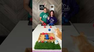 Tic-Tac-Toe  Our Cat With The Best Seat In The House!  Ball Toss Table Toss Game! #family #game