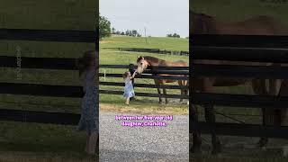 Little Girl And Horse Are Best Friends ️