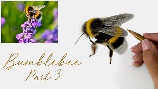 How to Draw a Realistic Bumblebee in Coloured Pencils - Part 3