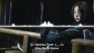 Way Back Home - Shaun《EDM Cover》【DJ Beidou x c__i.b】(가사 + Hangul Lyrics)