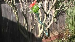 Hummingbird Feeders - Blown Glass Kitras Art Glass