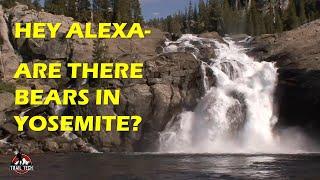 Backpacking Yosemite | Grand Canyon of Tuolumne | Waterwheel Falls