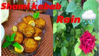 How to make beef shami kabab|Shami kabab banane ka tarika|trending chicken recipe@FoodfusionPk