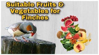 Suitable Fruit and Vegetables For Finches  | Food for finches| Safe fruits and vegetables for birds