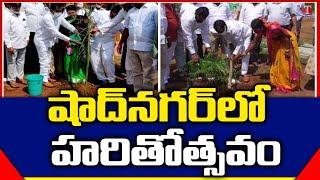 Haritha Haram | MLA Anjaiah Yadav Plant Sapling In Shadnagar | Palle Pattana Pragathi | T News