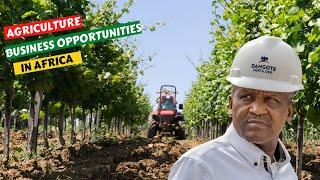 AGRICULTURE BUSINESS OPPORTUNITIES IN AFRICA