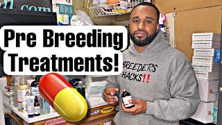 Pre breeding Treatment or flushing females out before breeding!